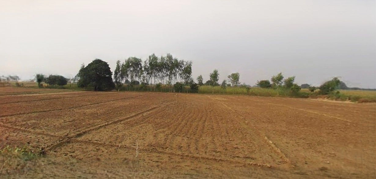 Mohanlalganj, Uttar Pradesh 226301, India