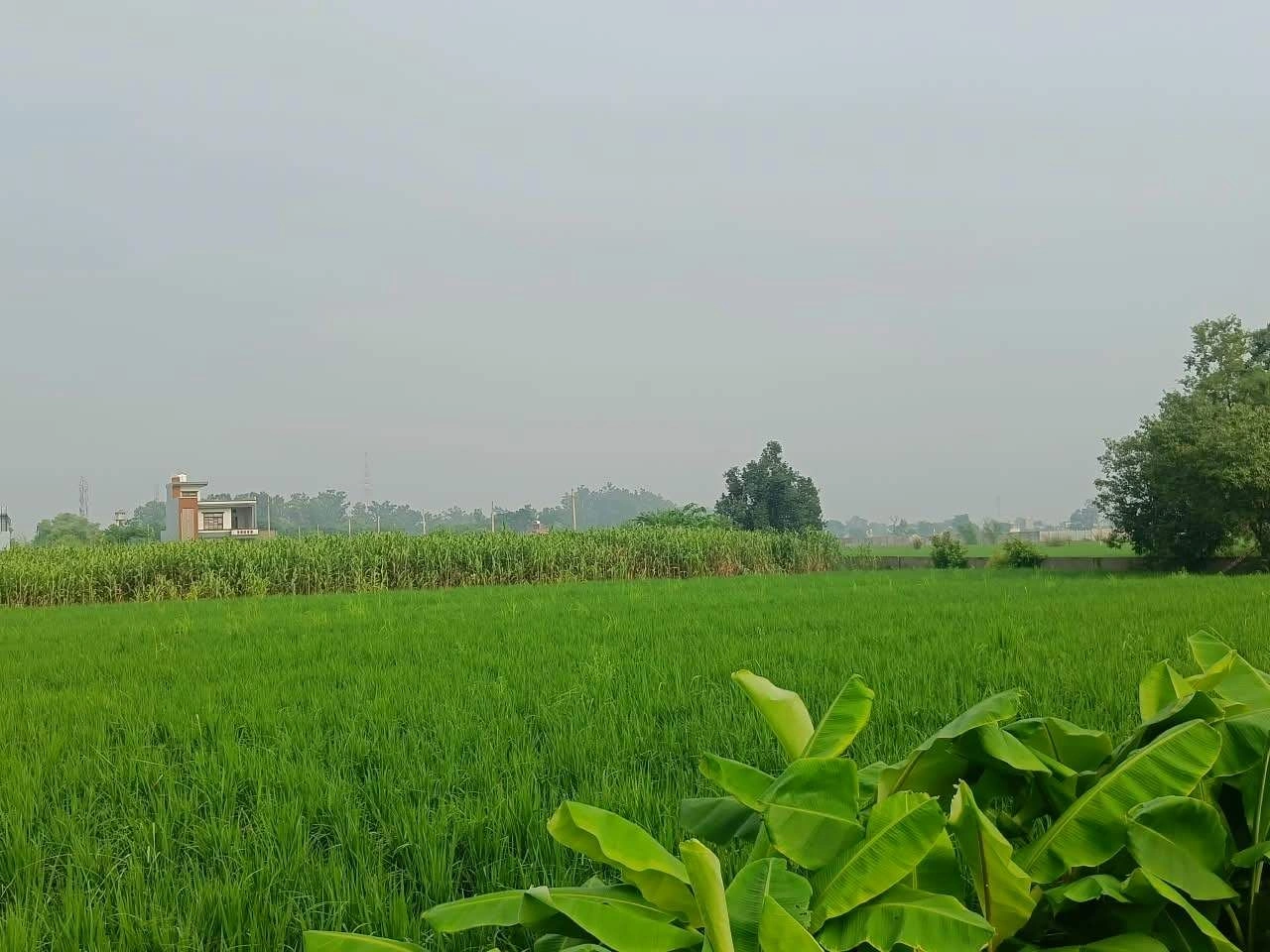 Abhaipura Banger, Mathura, Uttar Pradesh 281203, India