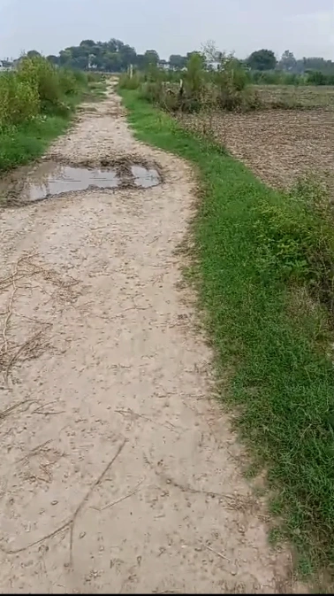Khair, Aligarh, Uttar Pradesh 202138, India