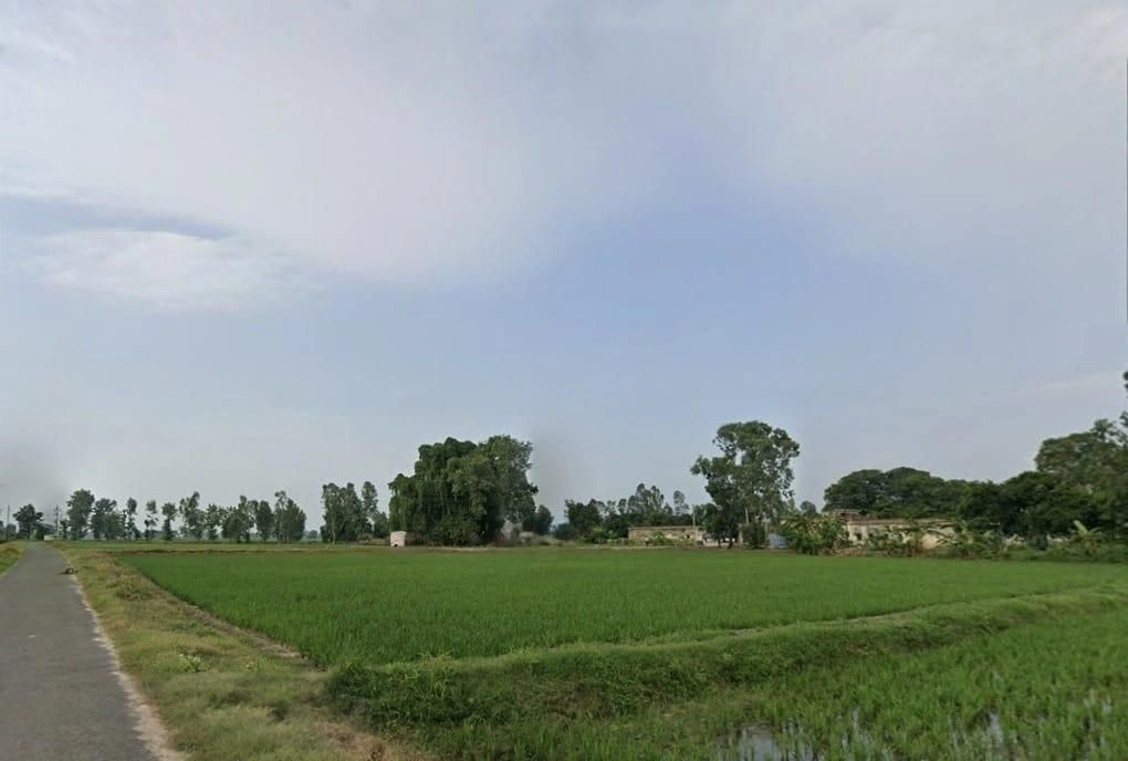 Sikandarabad, Madhya Pradesh 462044, India