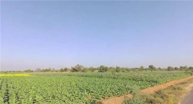 Sehore, Madhya Pradesh 466001, India