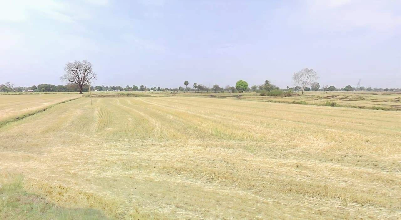 Barnagar, Madhya Pradesh 456771, India preview 2