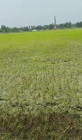 Israna, Panipat, Haryana 132107, India