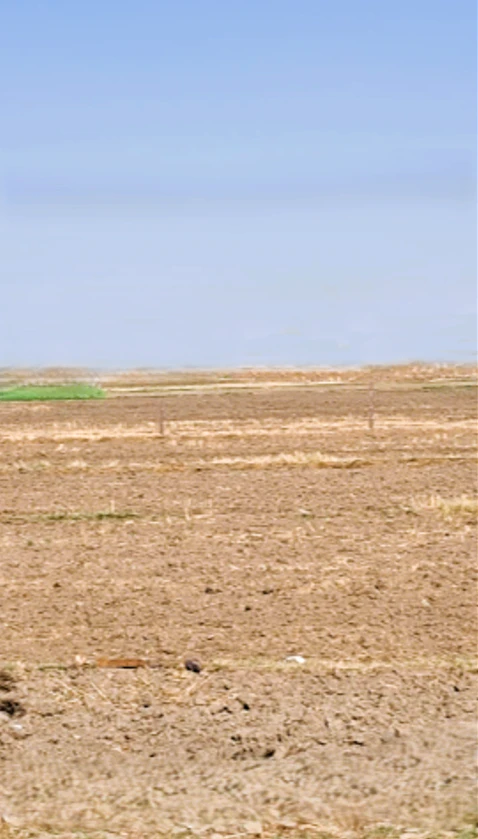 Pokhran, Rajasthan 345021, India