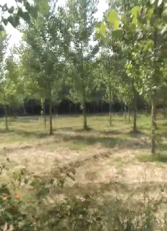 Nurpur Bedi, Punjab 140117, India