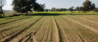 R79V+J4H, Raghunathpur Imadpur, Bihar 844114, India preview 2