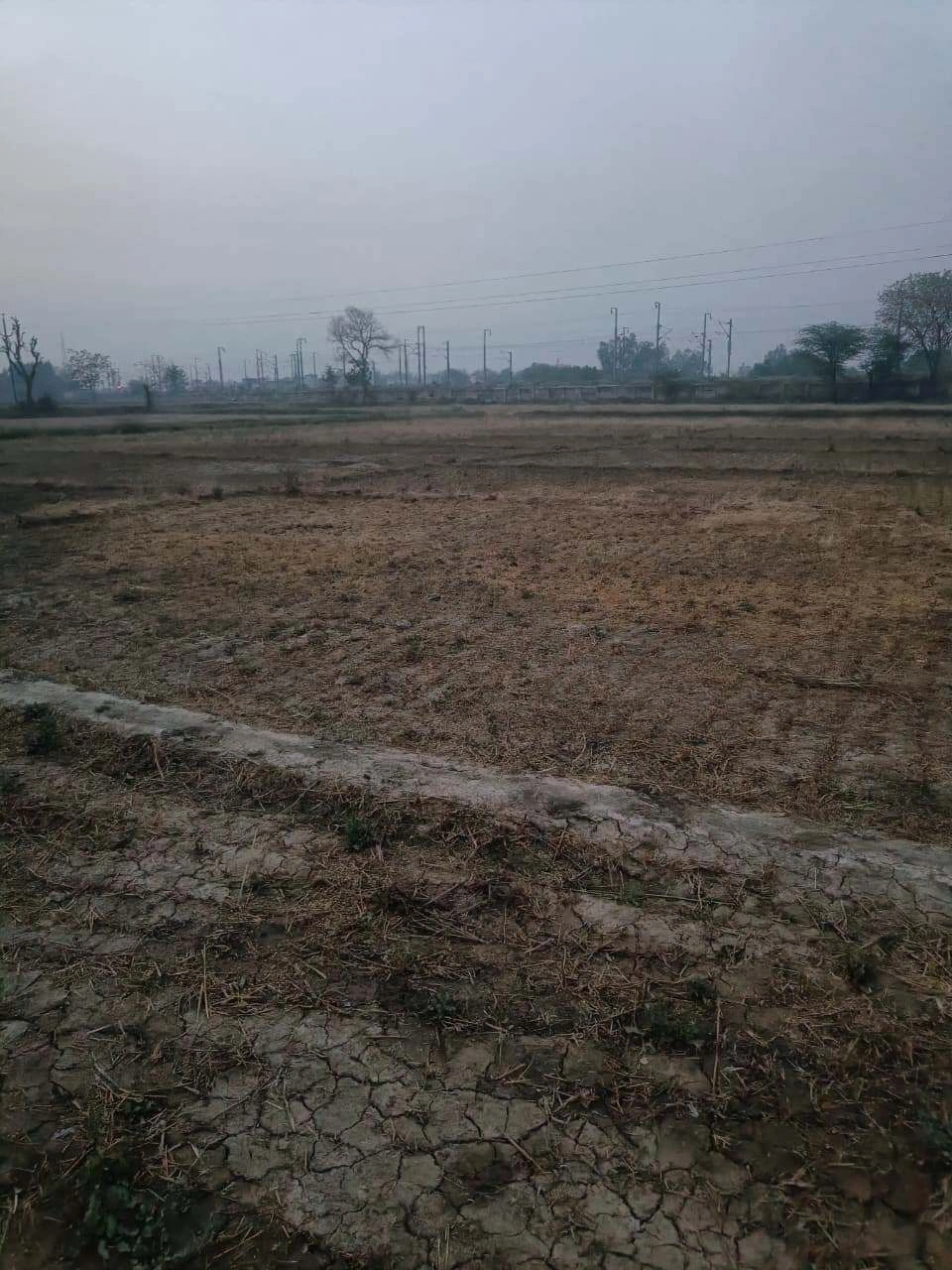 Barhana, Uttar Pradesh, India