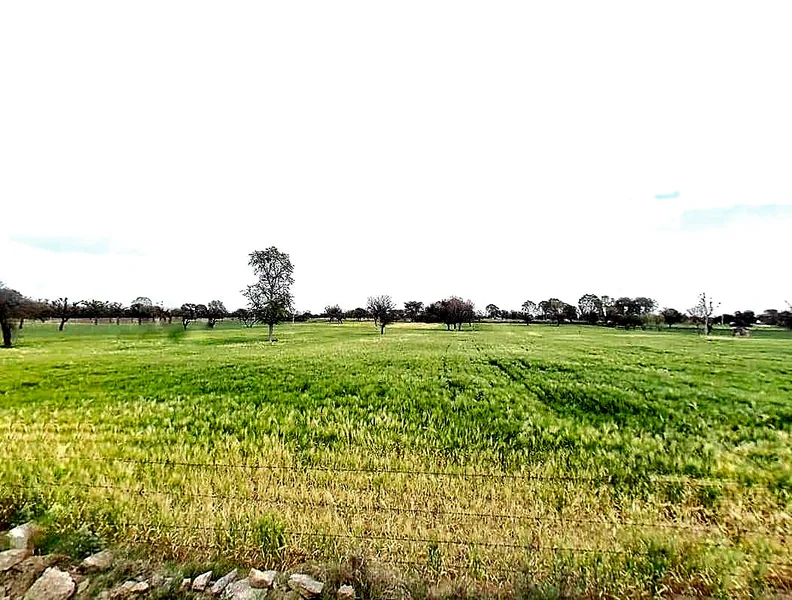 99FC+X45, Jhamawas, Rajasthan 332602, India preview 3