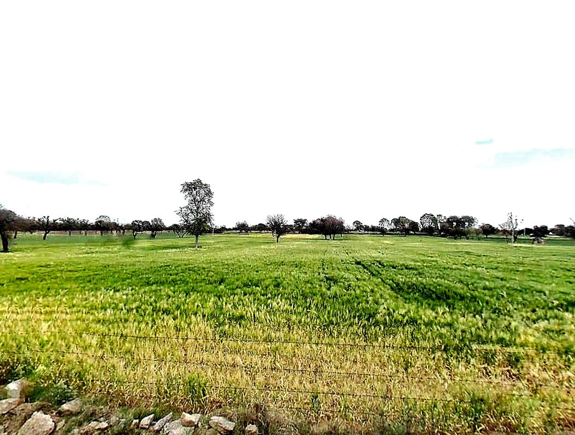 99FC+X45, Jhamawas, Rajasthan 332602, India