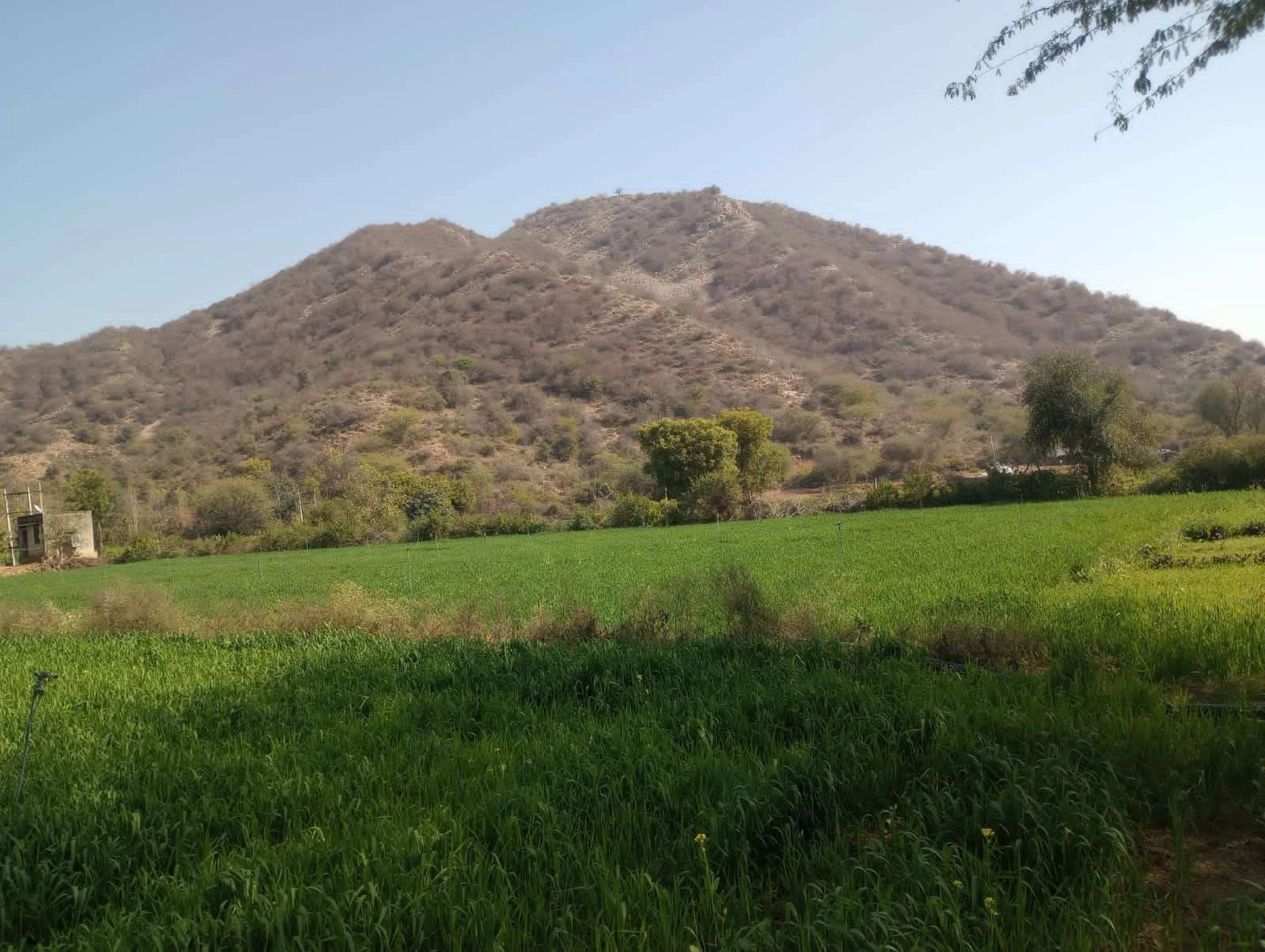 JHHF+65 Hajipur, Rajasthan, India