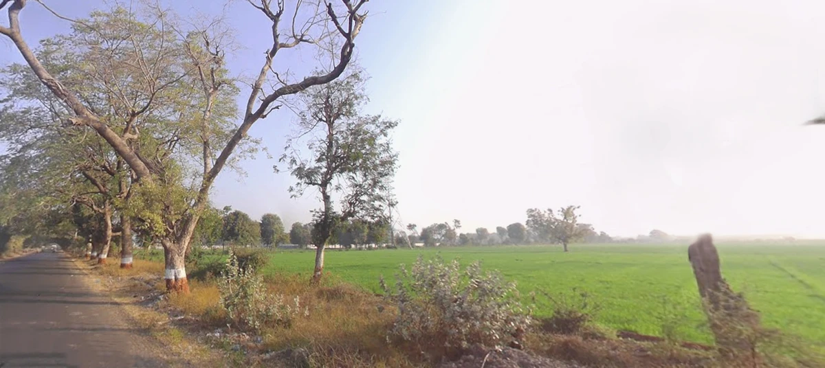9JHW+7V Dholakuva, Gujarat, India