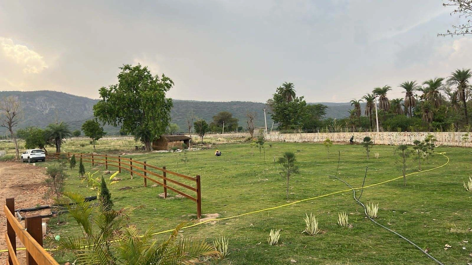 HFXG+59 Rundh Sundarwas, Rajasthan, India