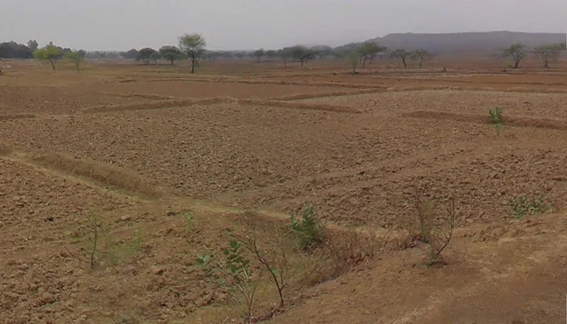 Marwahi, Chhattisgarh 495118, India preview 3