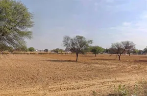 Sikar Rd, Harota, Chomu, Rajasthan, India preview 2