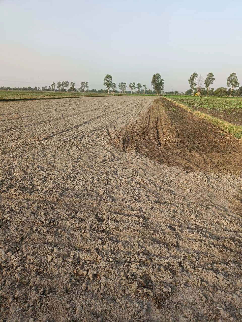 Tentigaon, Uttar Pradesh, India