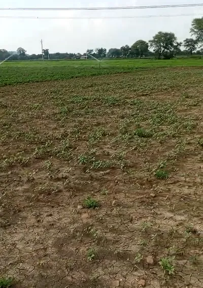 73PX+JQ GHUMKA, Rajnandgaon, Chhattisgarh, India preview 3