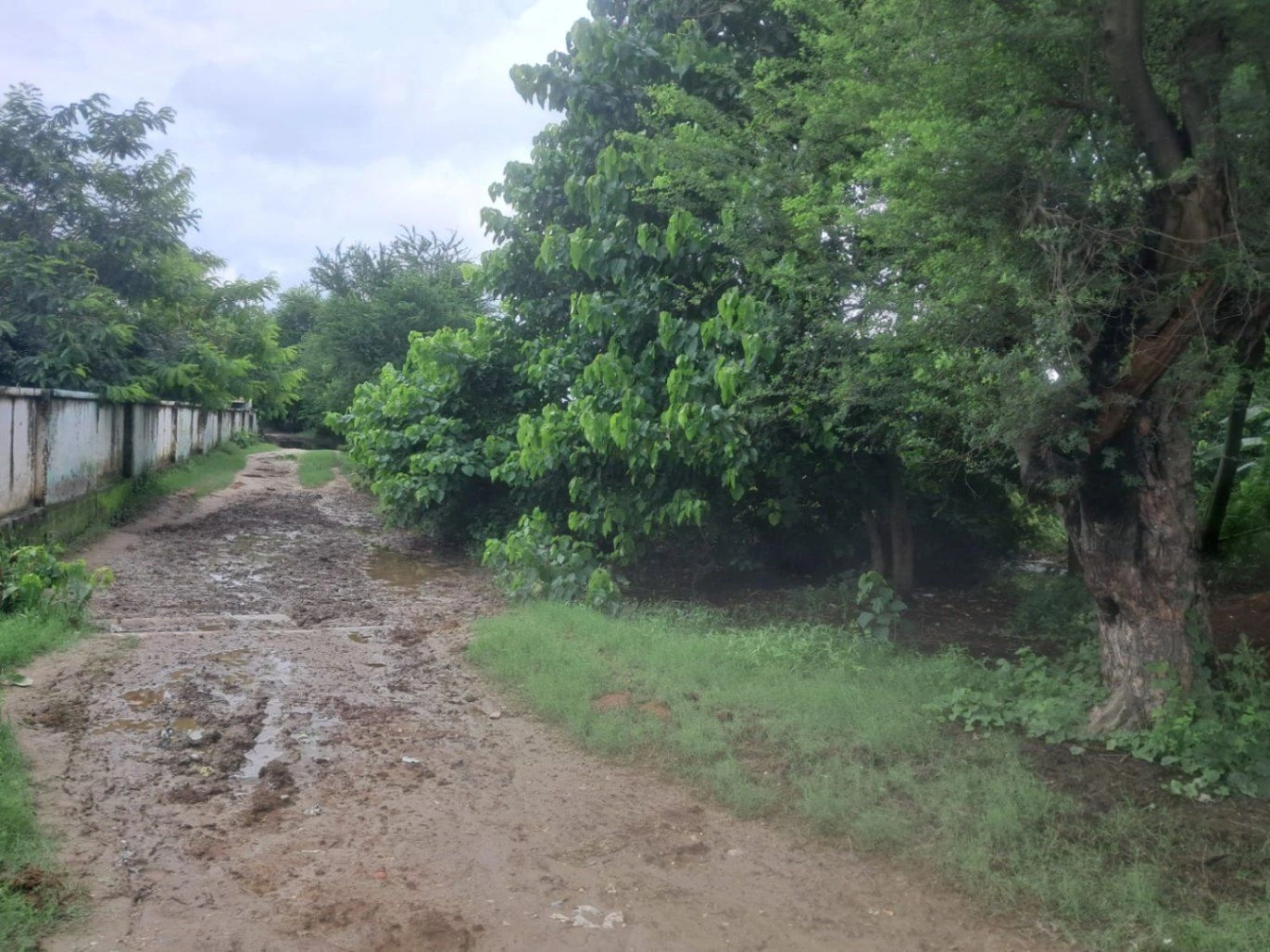 R6M5+G9 Kanakpur, Gonda, Uttar Pradesh, India