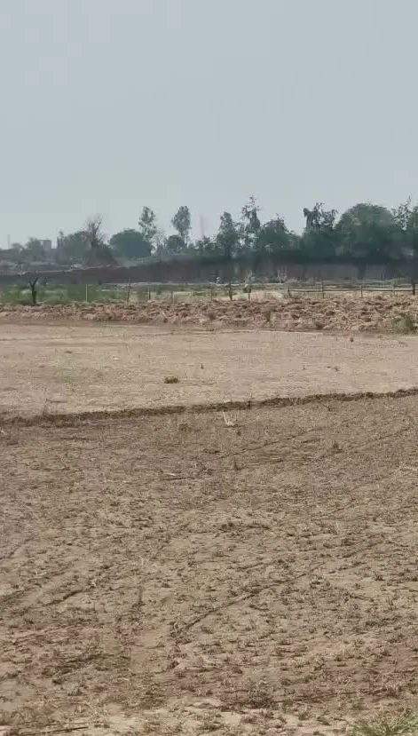 Q3V9+66V, Dhaulpur, Bichpuri, Rajasthan 328029, India