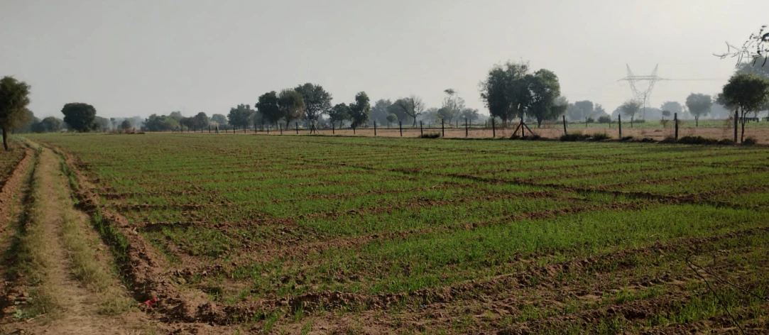 Mukteshwar, Uttarakhand, India