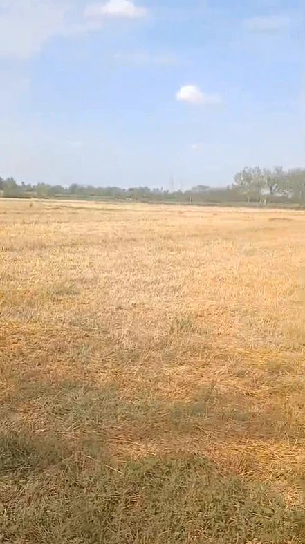 W92P+63 Hodal, Palwal, Haryana, India