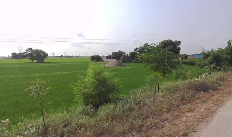 Badhni, Badhni Kalan, Punjab 142037, India preview 3