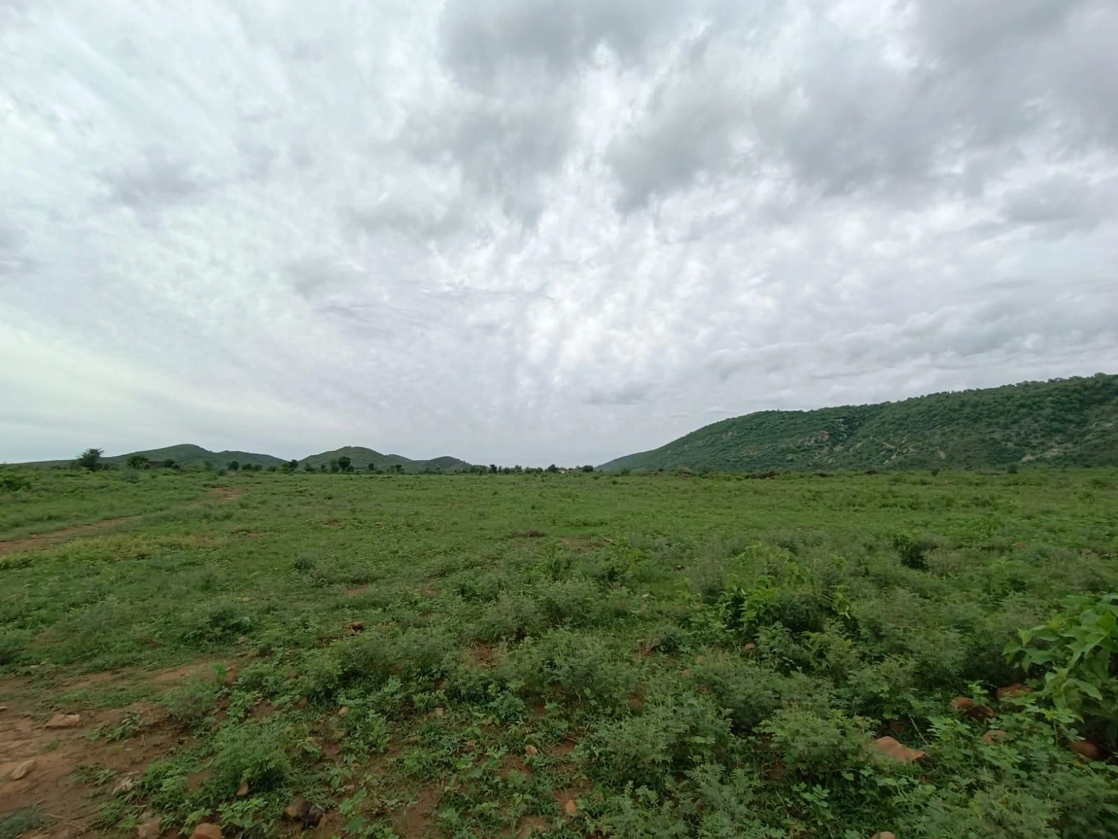 Gopalpura, Alwar, Rajasthan 301022, India