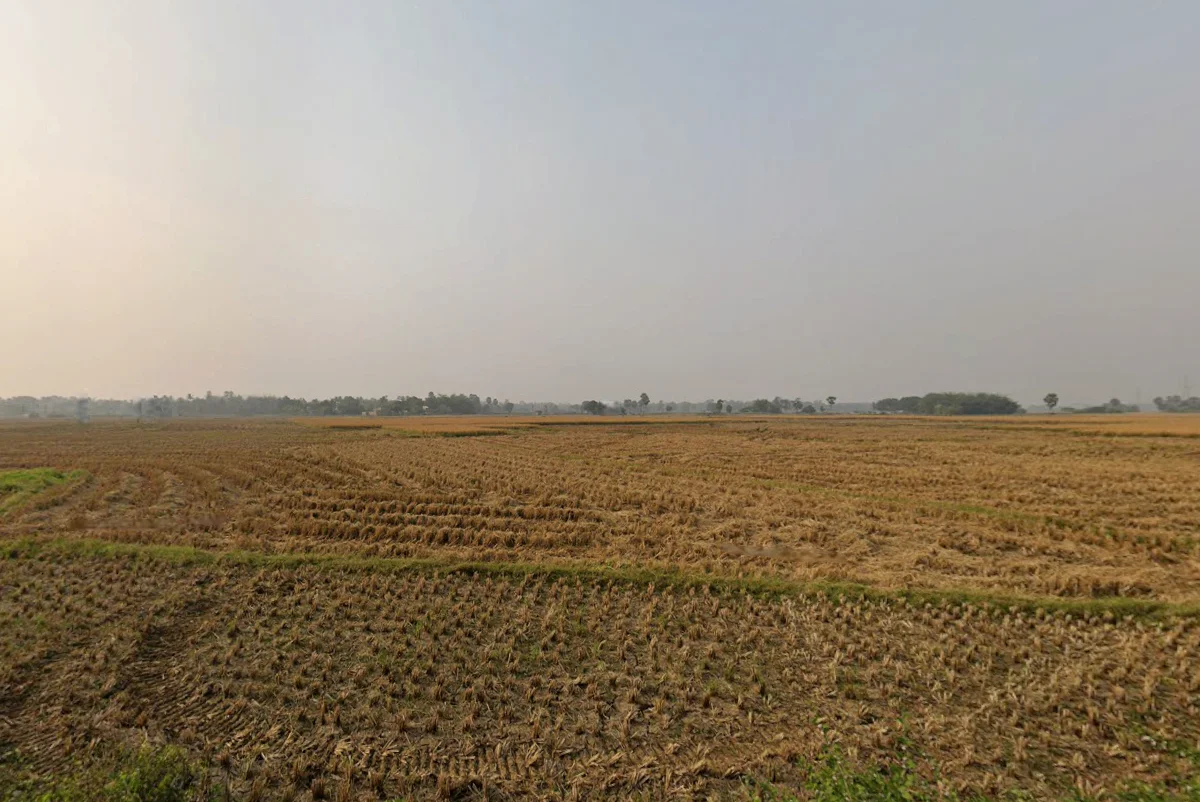 H9V5+W5R, Haradhole Ln, Beniatola, Kolkata, West Bengal 700005, India preview 2