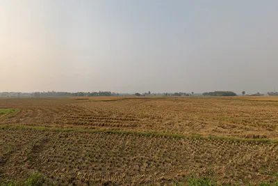 H9V5+W5R, Haradhole Ln, Beniatola, Kolkata, West Bengal 700005, India preview 2