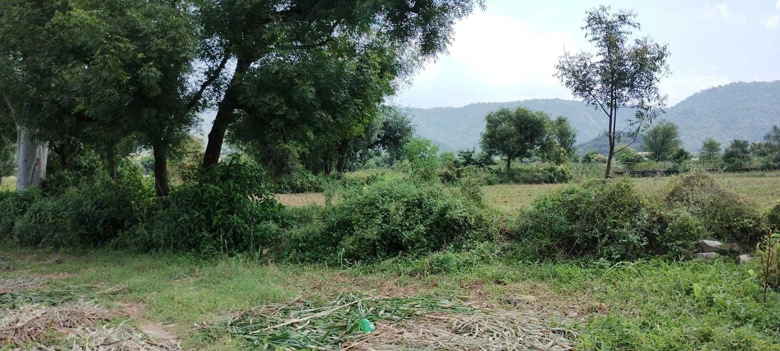 Badka, Rajasthan, India preview 2
