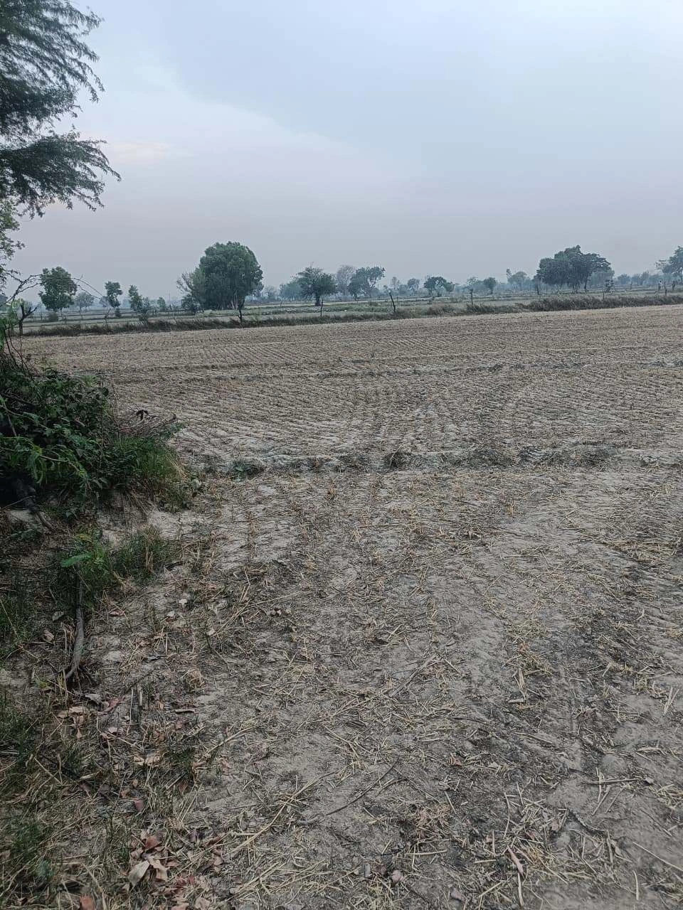 Ajijpur, Uttar Pradesh, India