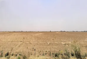 8QGH+675, Pataudi, Haryana 122503, India preview 3