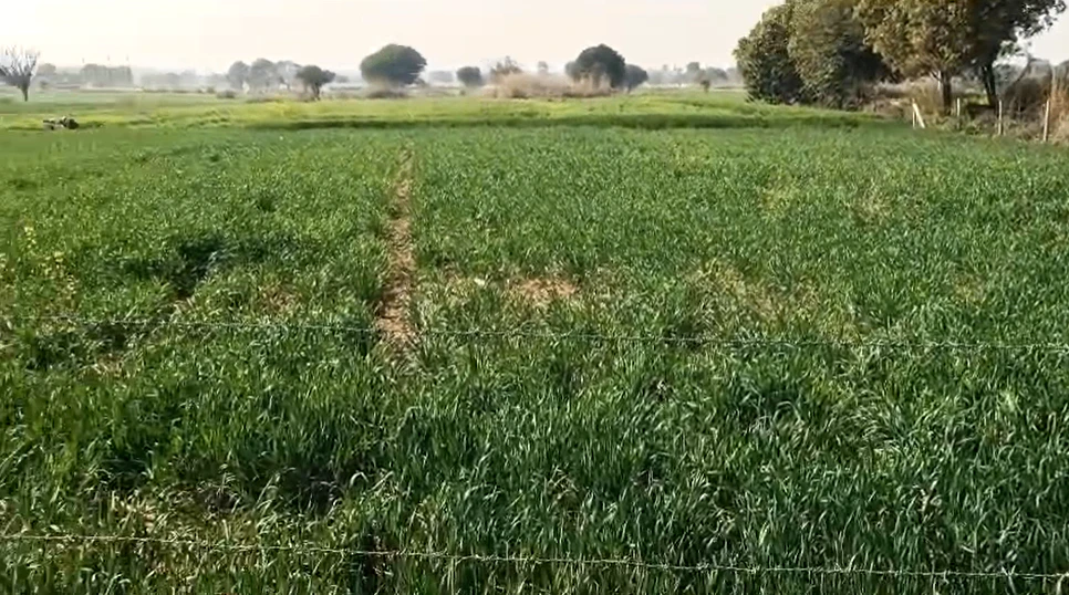 RP8J+9Q9, Khairthal-Tijara, Kishangarh Bas, Kishangarh, Rajasthan 301405, India
