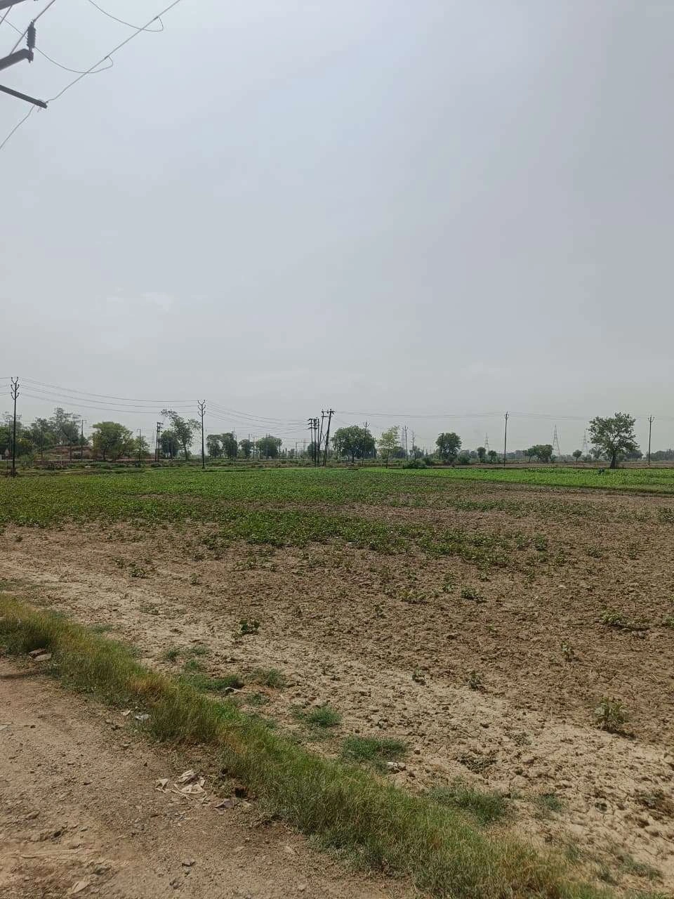 Aou, Rajasthan, India preview 2