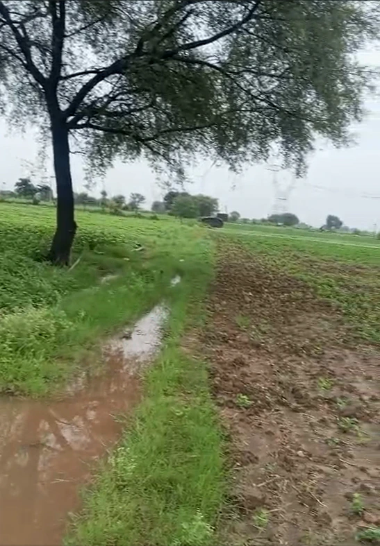 484, Chhatarpur, Mahaarajpur, Madhya Pradesh 471501, India