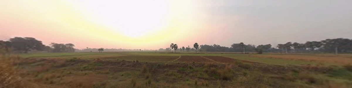 Dulhin Bazar - Naubatpur Rd, Pila Chak, Bihar, India