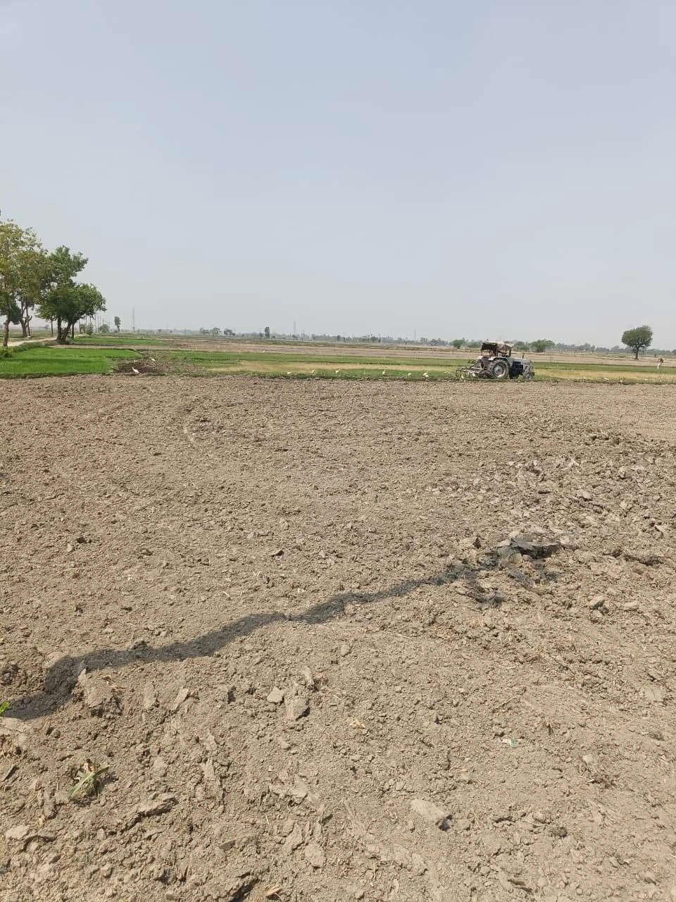 Tilhar, Uttar Pradesh 242307, India