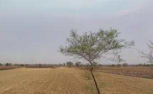 High School, Matla, Chhattisgarh 494665, India preview 2