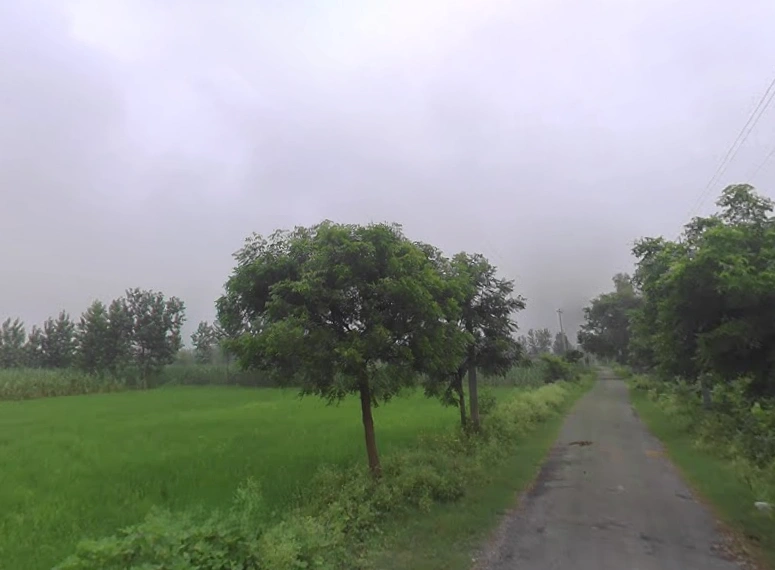 G6CC+P2H, Diodas, Paraura, Uttar Pradesh 243504, India