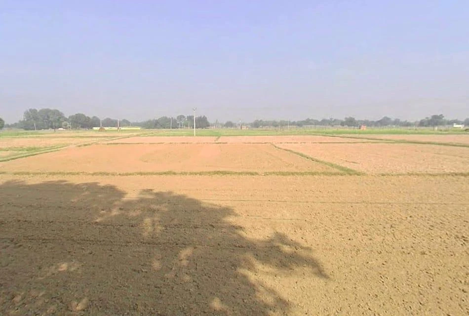 Mavaiya Kala, Uttar Pradesh, India