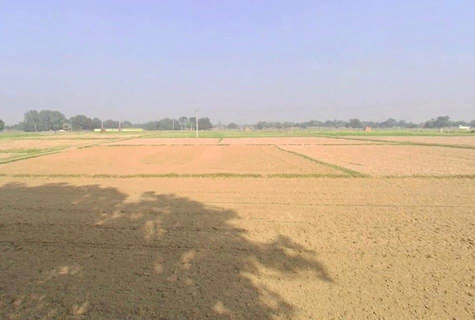 Mavaiya Kala, Uttar Pradesh, India