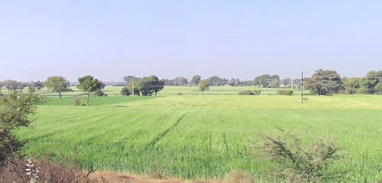 Dr. Ambedkar Nagar, Madhya Pradesh 453441, India