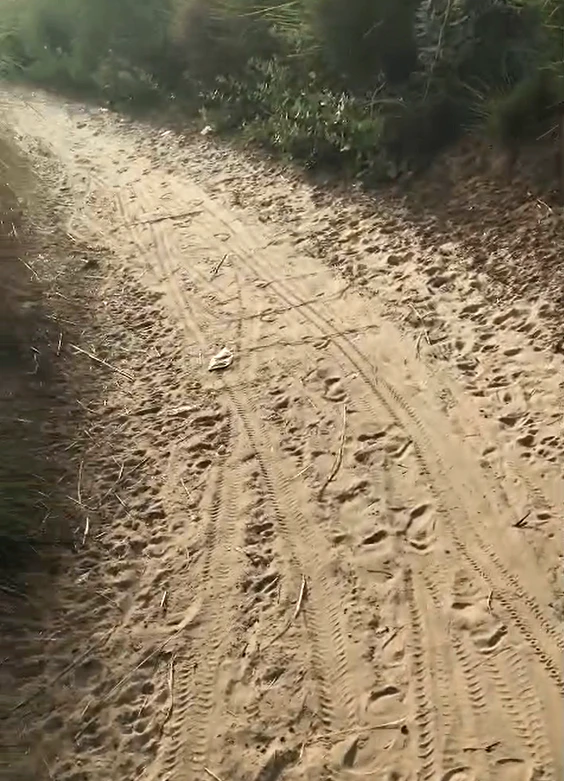 P6PF+QF Rajwas, Rajasthan, India