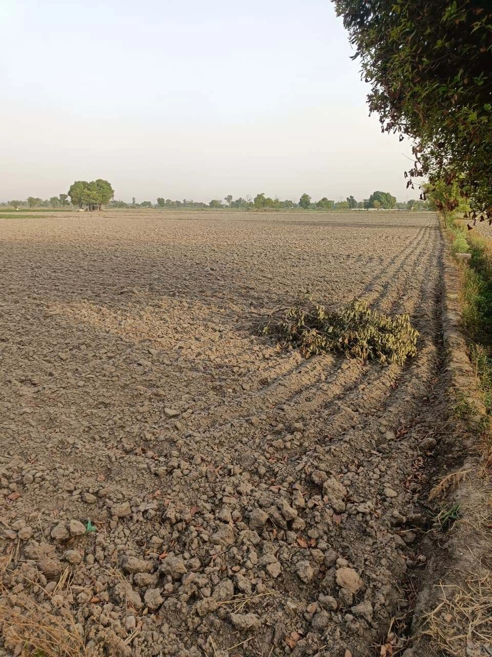 Tentigaon, Uttar Pradesh, India preview 3