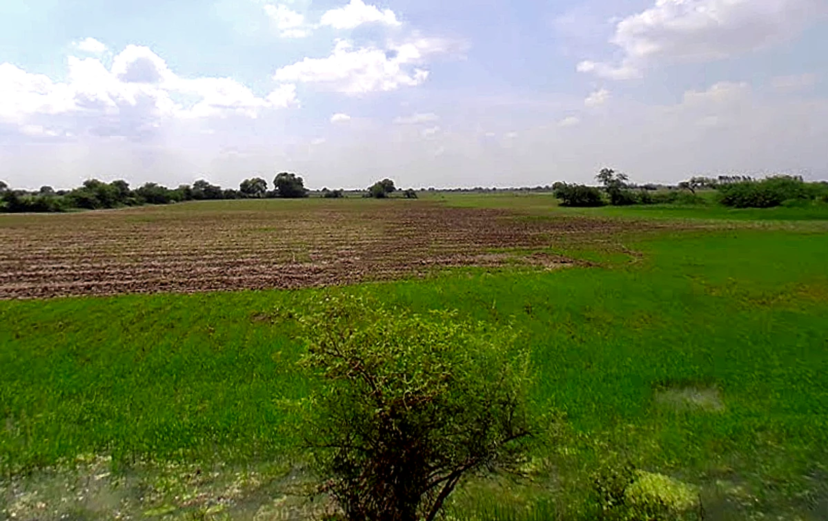 WWJP+82 Debiganj, Uttar Pradesh, India