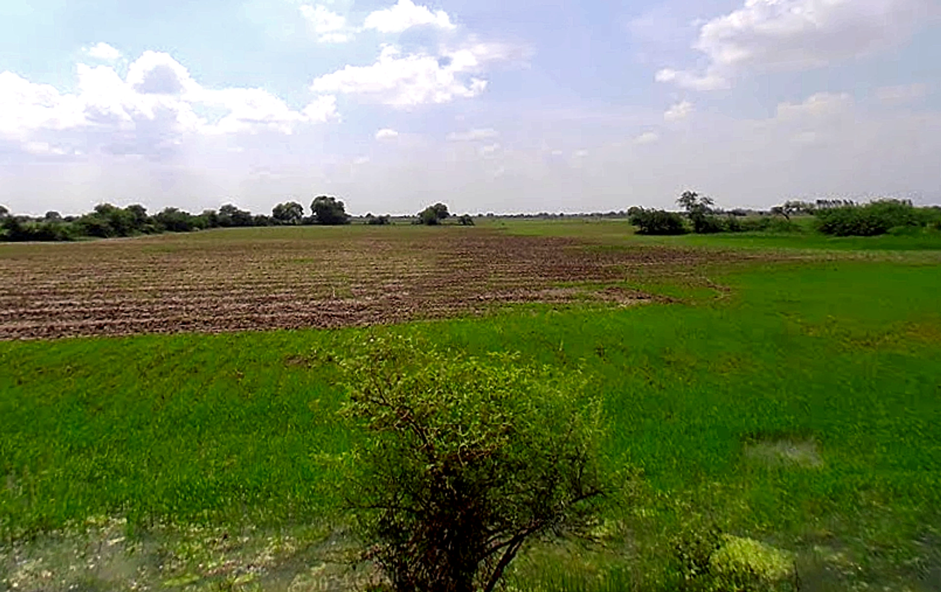 WWJP+82 Debiganj, Uttar Pradesh, India