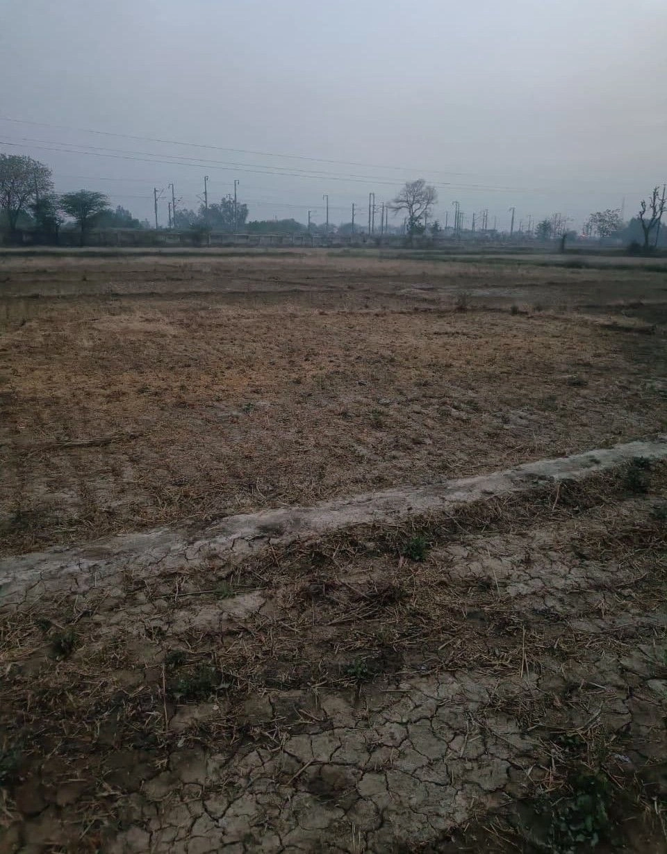 RF34+427, Girdharipura, Rajasthan 341307, India