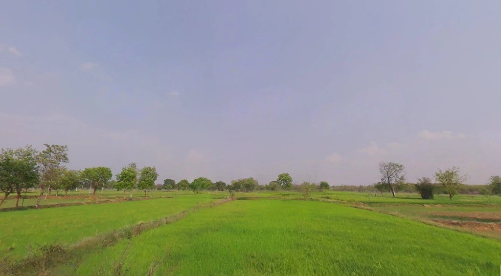 Sankara, Chhattisgarh 492112, India