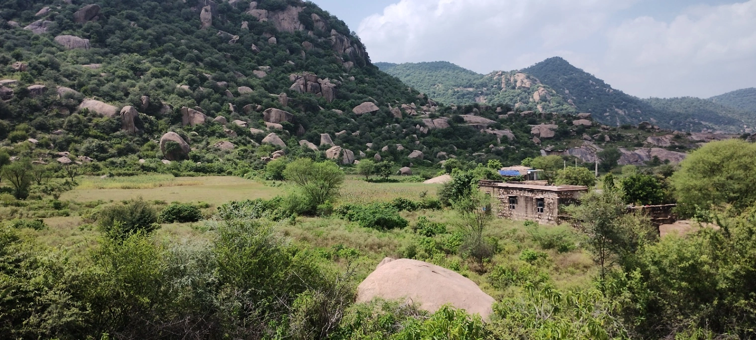 Dadhikar, Rajasthan 301001, India