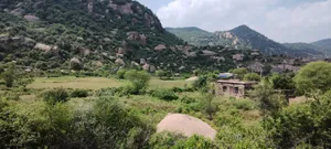 Dadhikar, Rajasthan 301001, India preview 3