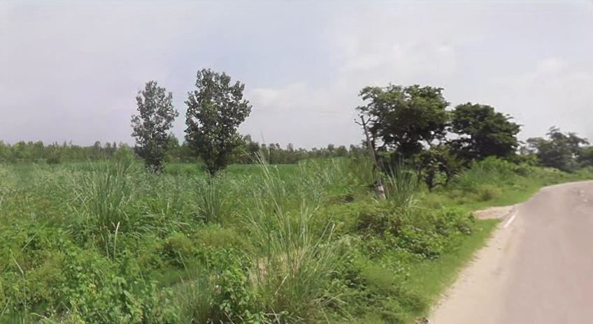 Sunderpur, Uttar Pradesh 247662, India